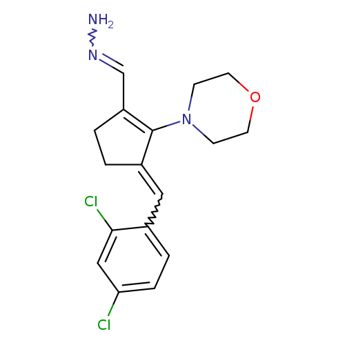 NN=CC1=C(N2CCOCC2)C(=Cc2ccc(cc2Cl)Cl)CC1