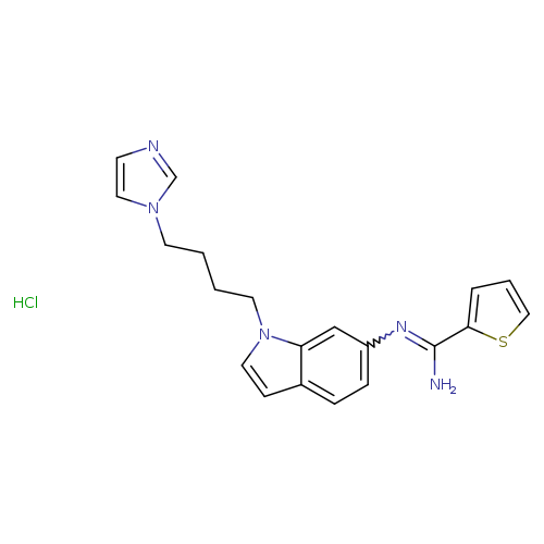 NC(=Nc1ccc2c(c1)n(CCCCn1cncc1)cc2)c1cccs1.Cl