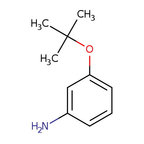 Nc1cccc(c1)OC(C)(C)C