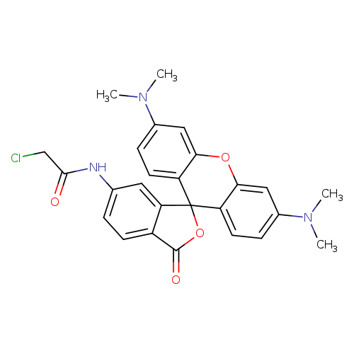 ClCC(=O)Nc1ccc2c(c1)C1(OC2=O)c2ccc(cc2Oc2c1ccc(c2)N(C)C)N(C)C