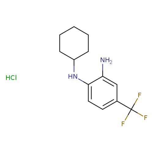 Nc1cc(ccc1NC1CCCCC1)C(F)(F)F.Cl