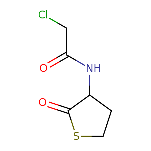 ClCC(=O)NC1CCSC1=O