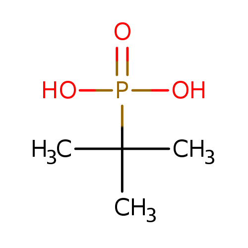 CC(P(=O)(O)O)(C)C