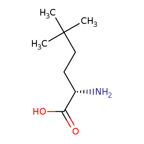 N[C@H](C(=O)O)CCC(C)(C)C