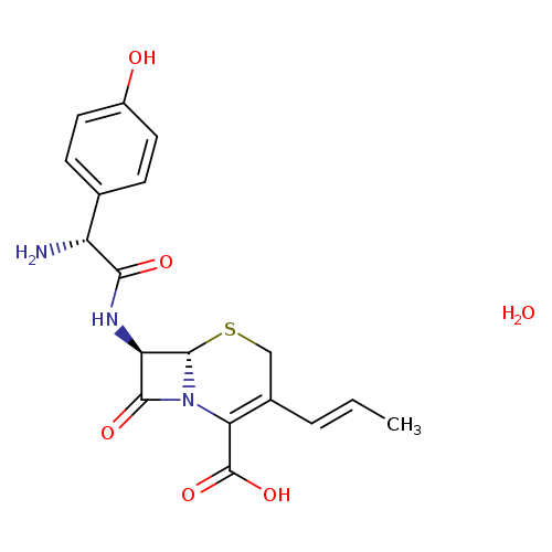 C/C=C/C1=C(C(=O)O)N2[C@@H](SC1)[C@@H](C2=O)NC(=O)[C@@H](c1ccc(cc1)O)N.O