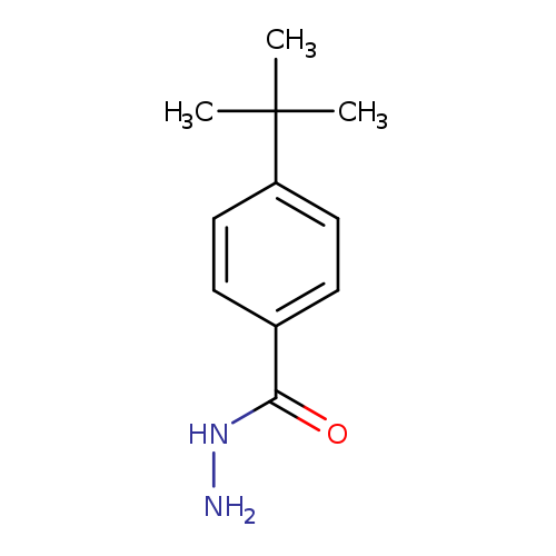 NNC(=O)c1ccc(cc1)C(C)(C)C