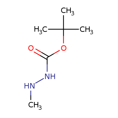 CNNC(=O)OC(C)(C)C