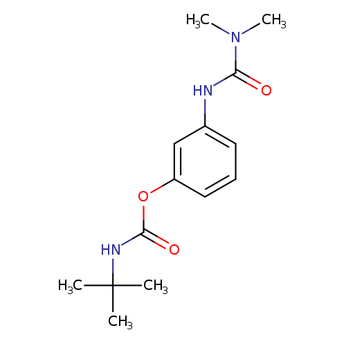 O=C(NC(C)(C)C)Oc1cccc(c1)NC(=O)N(C)C