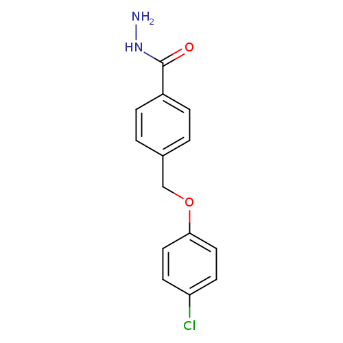 NNC(=O)c1ccc(cc1)COc1ccc(cc1)Cl