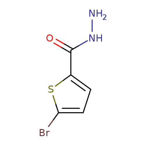 NNC(=O)c1ccc(s1)Br