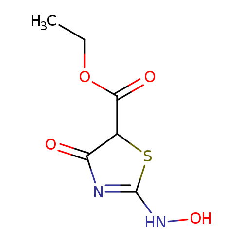 CCOC(=O)C1SC(=NC1=O)NO