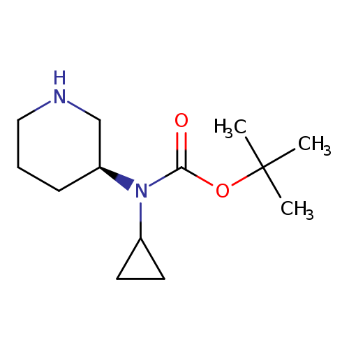 O=C(N(C1CC1)[C@H]1CCCNC1)OC(C)(C)C