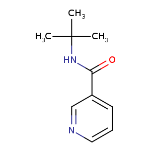 O=C(c1cccnc1)NC(C)(C)C