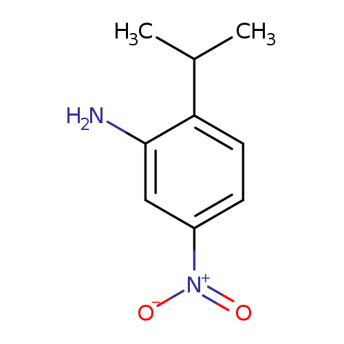 CC(c1ccc(cc1N)[N+](=O)[O-])C