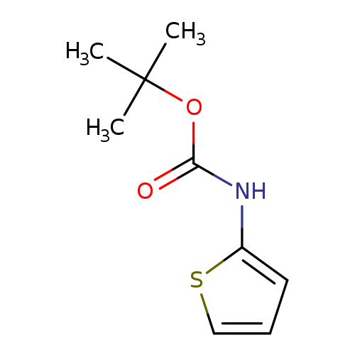 O=C(OC(C)(C)C)Nc1cccs1