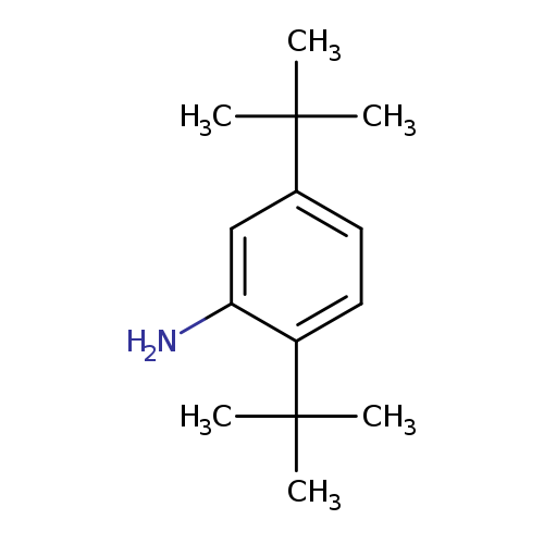 Nc1cc(ccc1C(C)(C)C)C(C)(C)C