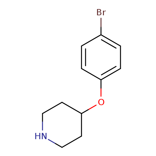 Brc1ccc(cc1)OC1CCNCC1