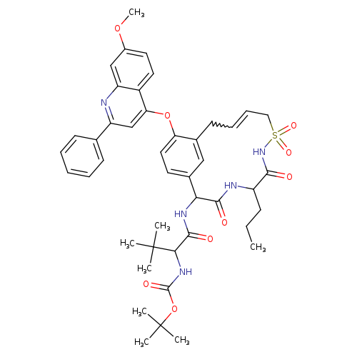 CCCC1NC(=O)C(NC(=O)C(C(C)(C)C)NC(=O)OC(C)(C)C)c2ccc(c(c2)CC=CCS(=O)(=O)NC1=O)Oc1cc(nc2c1ccc(c2)OC)c1ccccc1