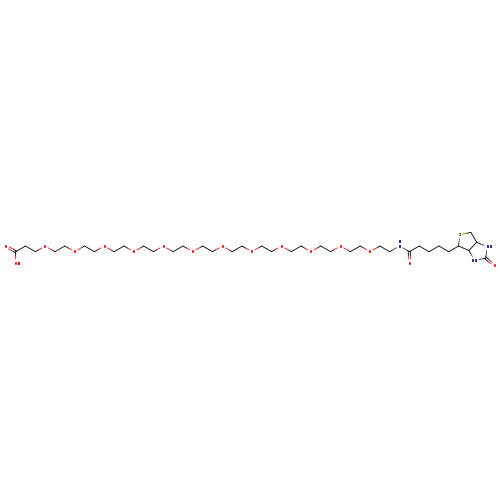 O=C(CCCCC1SCC2C1NC(=O)N2)NCCOCCOCCOCCOCCOCCOCCOCCOCCOCCOCCOCCOCCC(=O)O