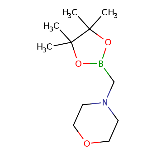 CC1(C)OB(OC1(C)C)CN1CCOCC1