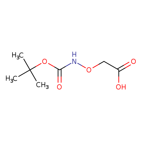 O=C(OC(C)(C)C)NOCC(=O)O