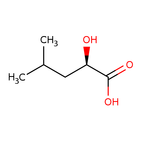 O[C@@H](C(=O)O)CC(C)C