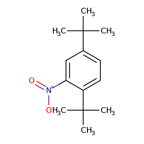 [O-][N+](=O)c1cc(ccc1C(C)(C)C)C(C)(C)C