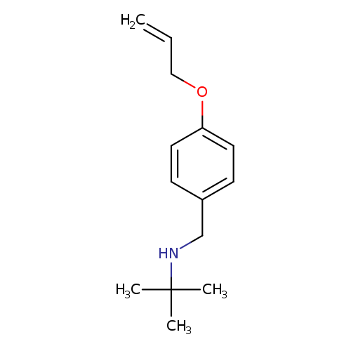 C=CCOc1ccc(cc1)CNC(C)(C)C
