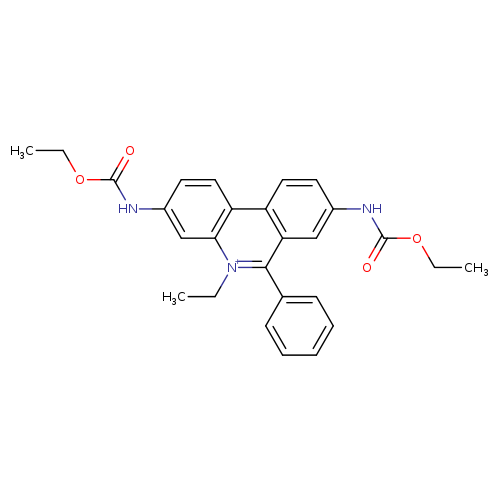 CCOC(=O)Nc1ccc2c(c1)[n+](CC)c(c1c2ccc(c1)NC(=O)OCC)c1ccccc1