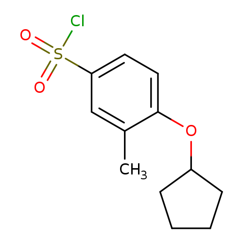 Cc1cc(ccc1OC1CCCC1)S(=O)(=O)Cl