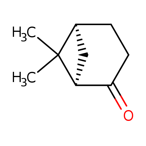 O=C1CC[C@H]2C[C@@H]1C2(C)C