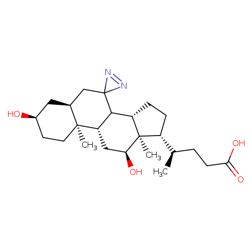 O[C@@H]1CC[C@]2([C@@H](C1)CC1(C3[C@@H]2C[C@H](O)[C@]2([C@H]3CC[C@@H]2[C@@H](CCC(=O)O)C)C)N=N1)C