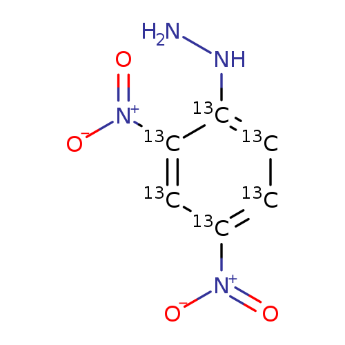 NN[13c]1[13cH][13cH][13c]([13cH][13c]1[N+](=O)[O-])[N+](=O)[O-]