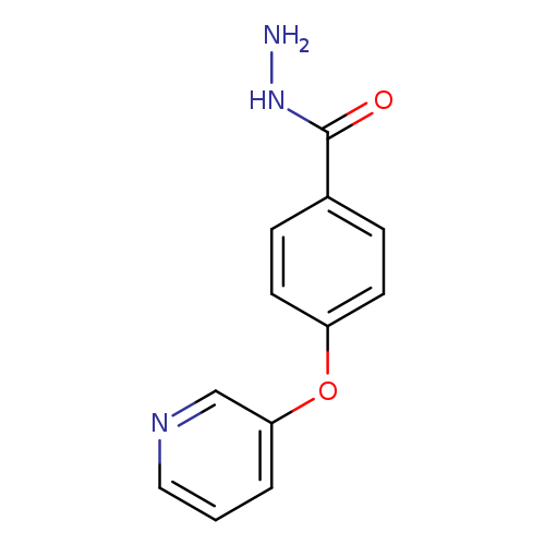 NNC(=O)c1ccc(cc1)Oc1cccnc1