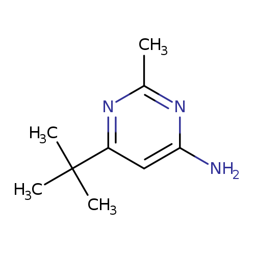 Nc1nc(C)nc(c1)C(C)(C)C