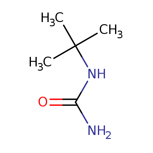 NC(=O)NC(C)(C)C
