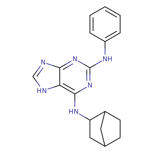 c1ccc(cc1)Nc1nc(NC2CC3CC2CC3)c2c(n1)nc[nH]2