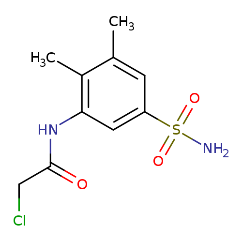 ClCC(=O)Nc1cc(cc(c1C)C)S(=O)(=O)N