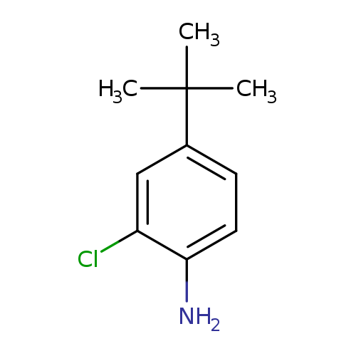 Nc1ccc(cc1Cl)C(C)(C)C