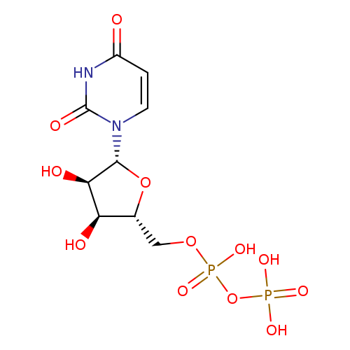 O[C@@H]1[C@@H](COP(=O)(OP(=O)(O)O)O)O[C@H]([C@@H]1O)n1ccc(=O)[nH]c1=O