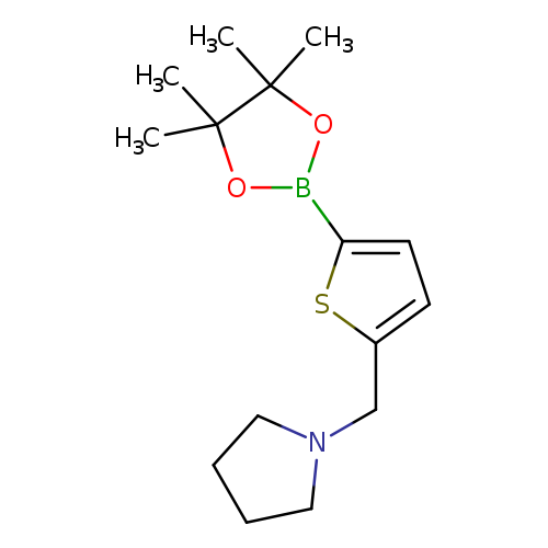 CC1(C)OB(OC1(C)C)c1ccc(s1)CN1CCCC1