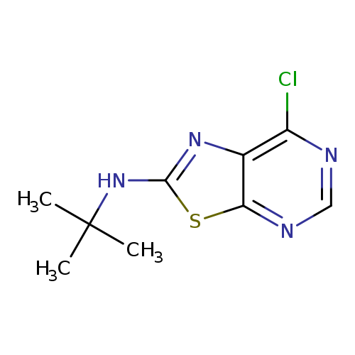 Clc1ncnc2c1nc(s2)NC(C)(C)C
