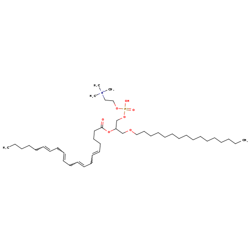 CCCCCCCCCCCCCCCCOCC(OC(=O)CCCC=CCC=CCC=CCC=CCCCCC)COP(=O)(OCC[N+](C)(C)C)O