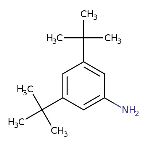 Nc1cc(cc(c1)C(C)(C)C)C(C)(C)C