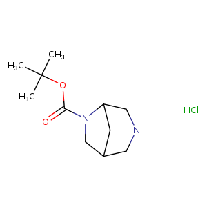 O=C(N1CC2CC1CNC2)OC(C)(C)C.Cl