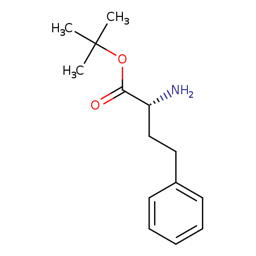 N[C@@H](C(=O)OC(C)(C)C)CCc1ccccc1