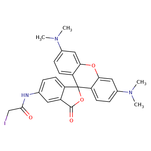 ICC(=O)Nc1ccc2c(c1)C(=O)OC12c2ccc(cc2Oc2c1ccc(c2)N(C)C)N(C)C