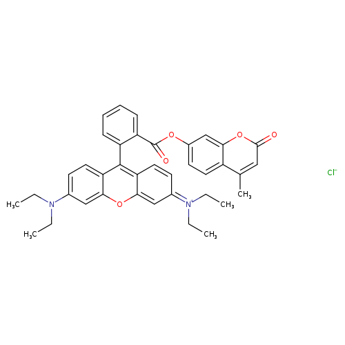 CCN(c1ccc2c(c1)oc1c(c2c2ccccc2C(=O)Oc2ccc3c(c2)oc(=O)cc3C)ccc(=[N+](CC)CC)c1)CC.[Cl-]
