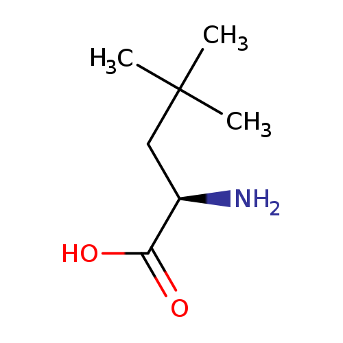 N[C@@H](C(=O)O)CC(C)(C)C