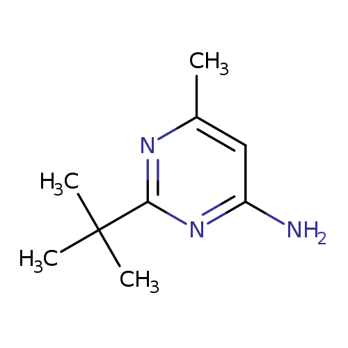 Cc1cc(N)nc(n1)C(C)(C)C